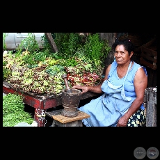 POH� �ANA (Fotograf�as de Mabel Avila, 2010)